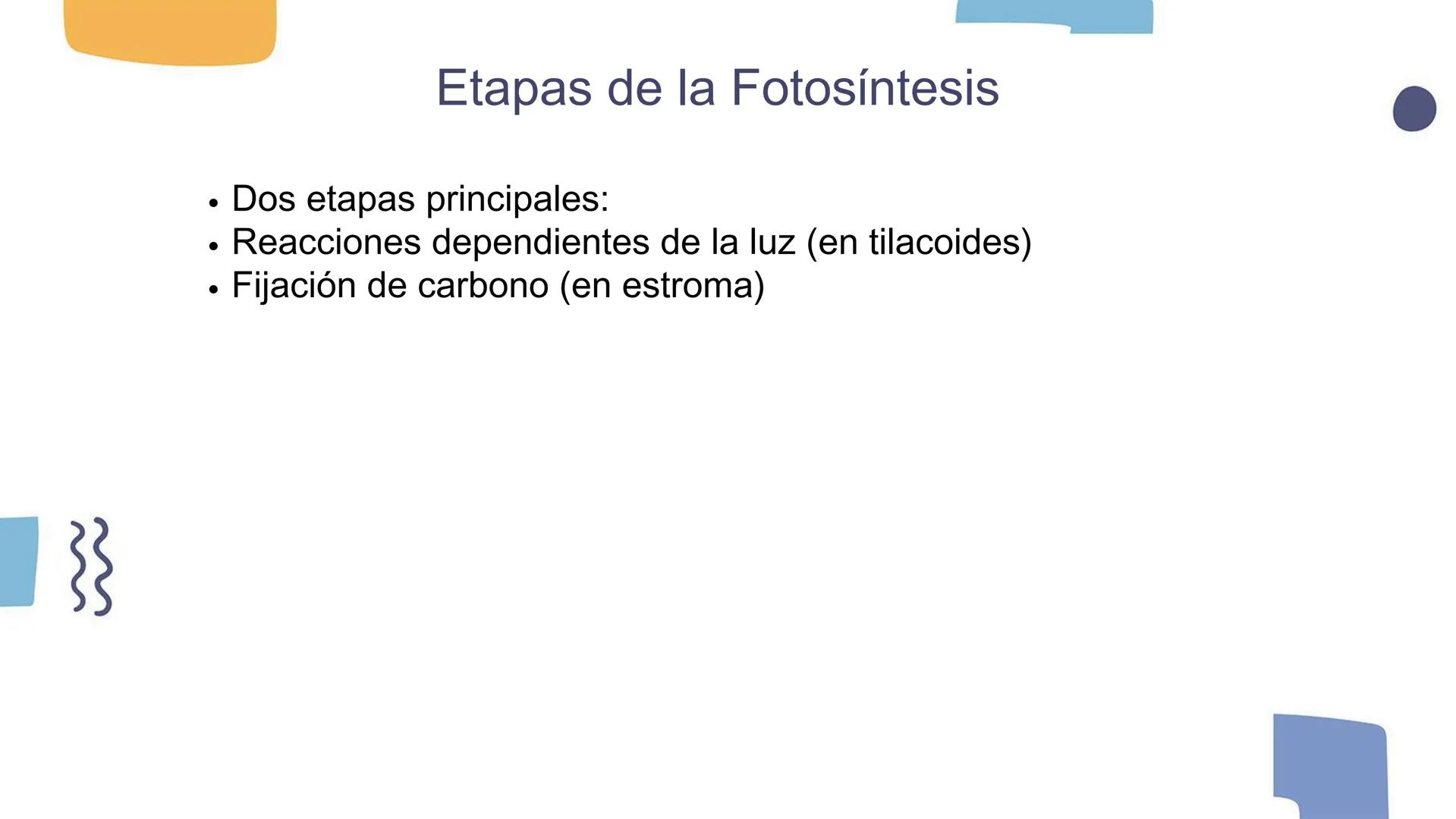 # Los Cloroplastos y la Fotosíntesis --- OCR Start ---
Introducción a los Cloroplastos
• Los cloroplastos es donde ocurre la fotosíntesis
•
