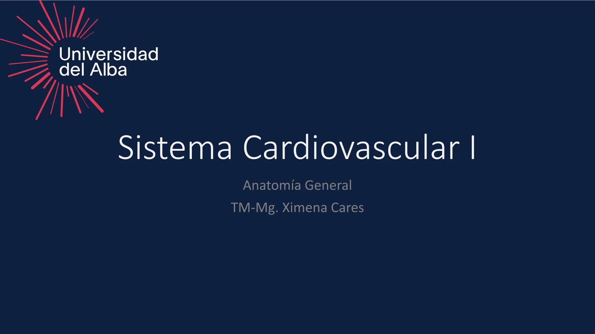 # Universidad
del Alba
# Sistema Cardiovascular I
Anatomía General
TM-Mg. Ximena Cares Inicio
- ¿Dudas de la clase anterior?
- ¿Qué sabes