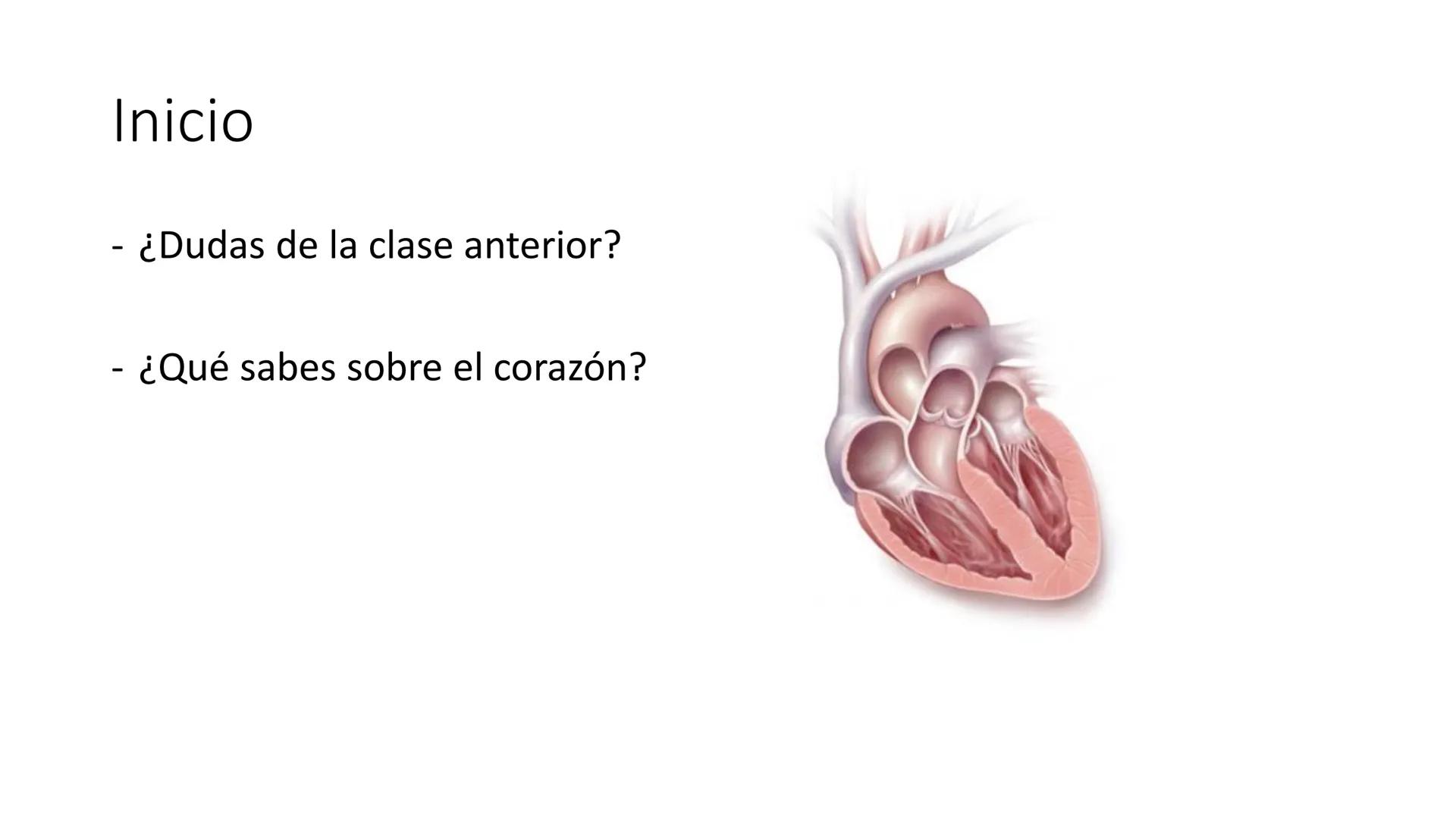 # Universidad
del Alba
# Sistema Cardiovascular I
Anatomía General
TM-Mg. Ximena Cares Inicio
- ¿Dudas de la clase anterior?
- ¿Qué sabes