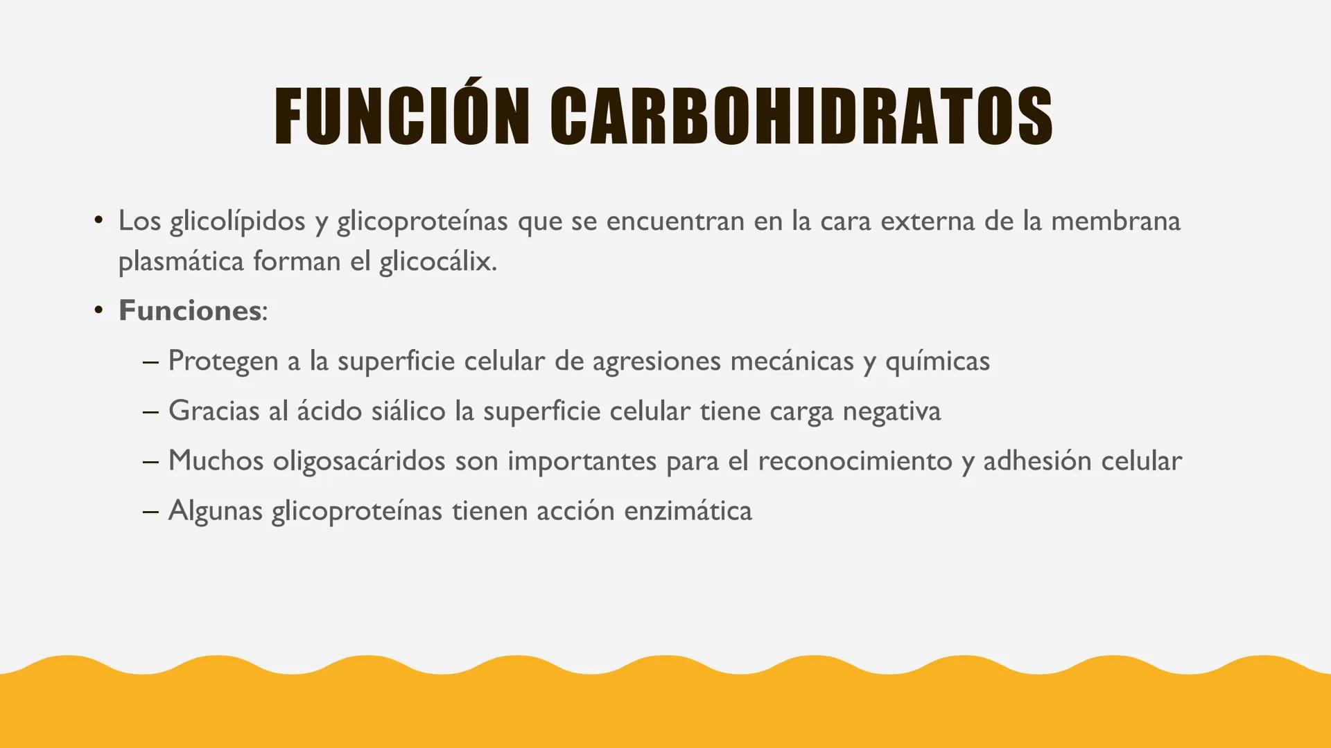 # MEMBRANA
# PLASMÁTICA Y
# TRANSPORTE
ETMP 060
BIOLOGÍA
CELULAR "ESTA PRESENTACIÓN CONSTITUYE UN PRODUCTO
ACADÉMICO EXCLUSIVO PARA LA ASIG