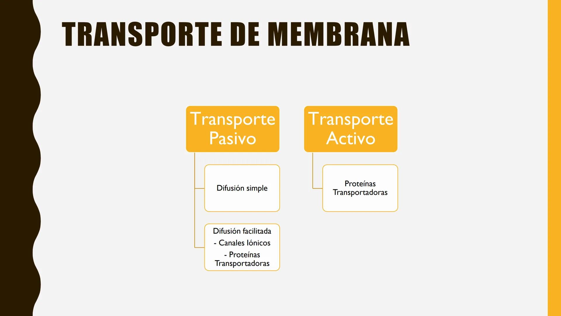 # MEMBRANA
# PLASMÁTICA Y
# TRANSPORTE
ETMP 060
BIOLOGÍA
CELULAR "ESTA PRESENTACIÓN CONSTITUYE UN PRODUCTO
ACADÉMICO EXCLUSIVO PARA LA ASIG