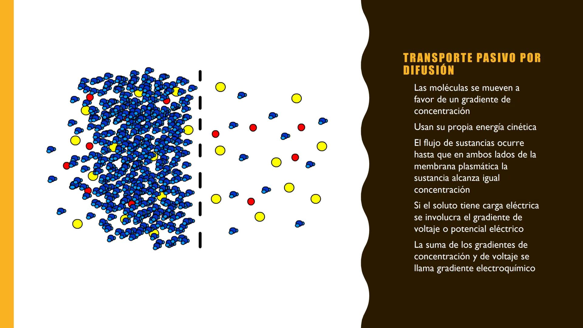 # MEMBRANA
# PLASMÁTICA Y
# TRANSPORTE
ETMP 060
BIOLOGÍA
CELULAR "ESTA PRESENTACIÓN CONSTITUYE UN PRODUCTO
ACADÉMICO EXCLUSIVO PARA LA ASIG