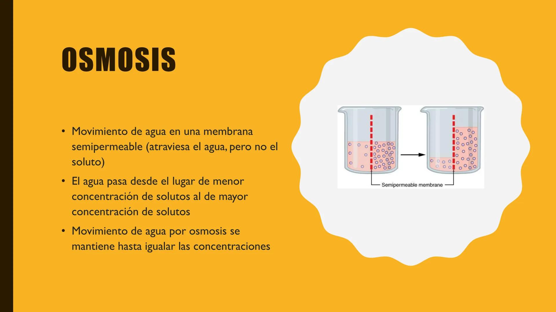 # MEMBRANA
# PLASMÁTICA Y
# TRANSPORTE
ETMP 060
BIOLOGÍA
CELULAR "ESTA PRESENTACIÓN CONSTITUYE UN PRODUCTO
ACADÉMICO EXCLUSIVO PARA LA ASIG