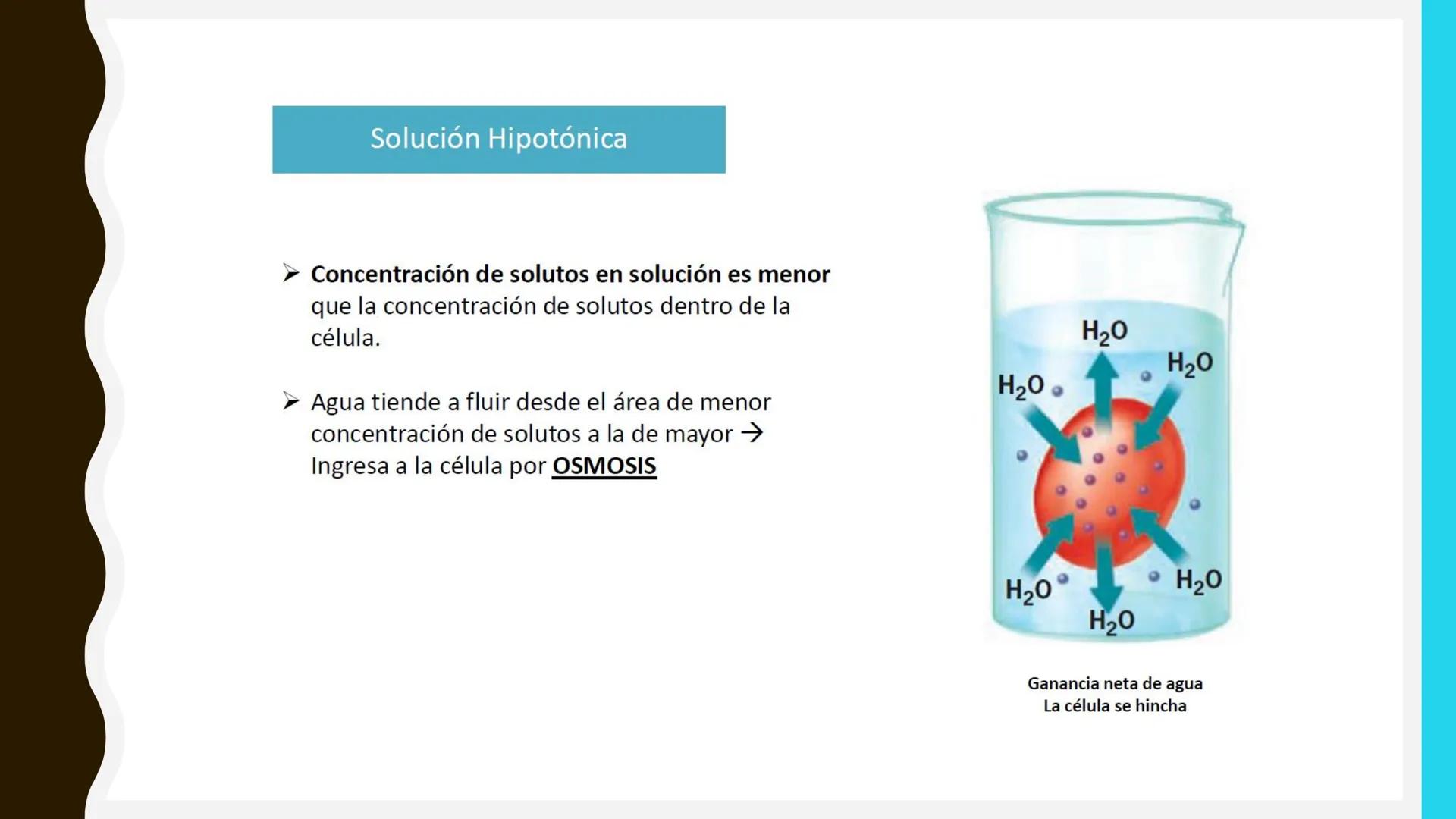 # MEMBRANA
# PLASMÁTICA Y
# TRANSPORTE
ETMP 060
BIOLOGÍA
CELULAR "ESTA PRESENTACIÓN CONSTITUYE UN PRODUCTO
ACADÉMICO EXCLUSIVO PARA LA ASIG