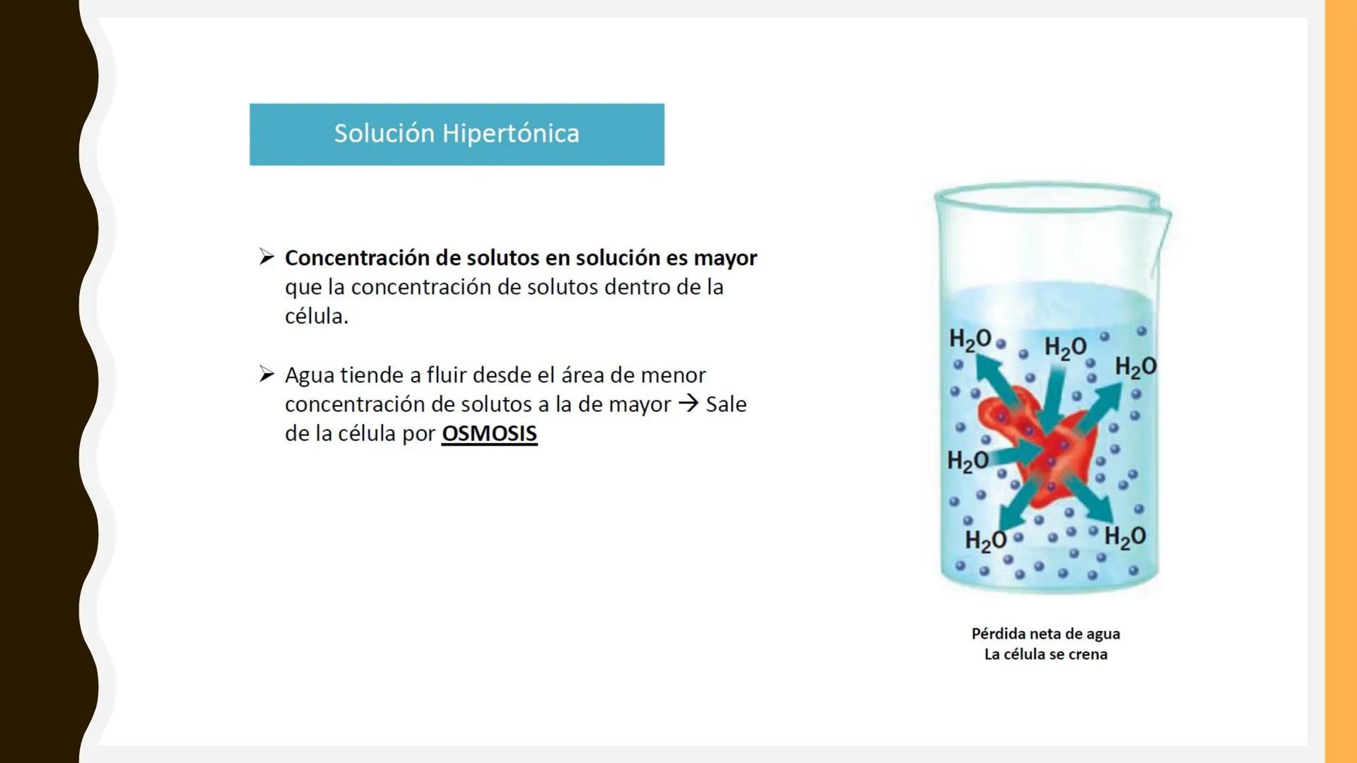 # MEMBRANA
# PLASMÁTICA Y
# TRANSPORTE
ETMP 060
BIOLOGÍA
CELULAR "ESTA PRESENTACIÓN CONSTITUYE UN PRODUCTO
ACADÉMICO EXCLUSIVO PARA LA ASIG
