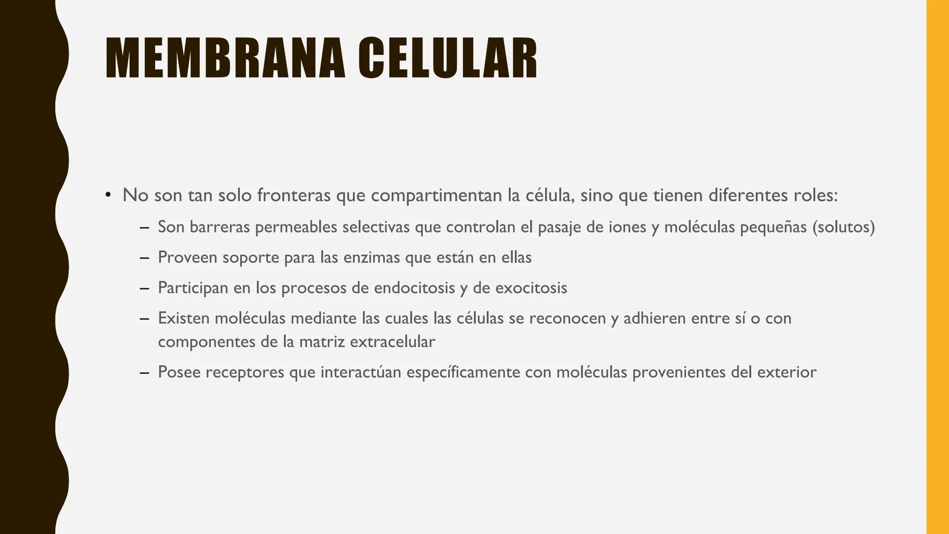 # MEMBRANA
# PLASMÁTICA Y
# TRANSPORTE
ETMP 060
BIOLOGÍA
CELULAR "ESTA PRESENTACIÓN CONSTITUYE UN PRODUCTO
ACADÉMICO EXCLUSIVO PARA LA ASIG