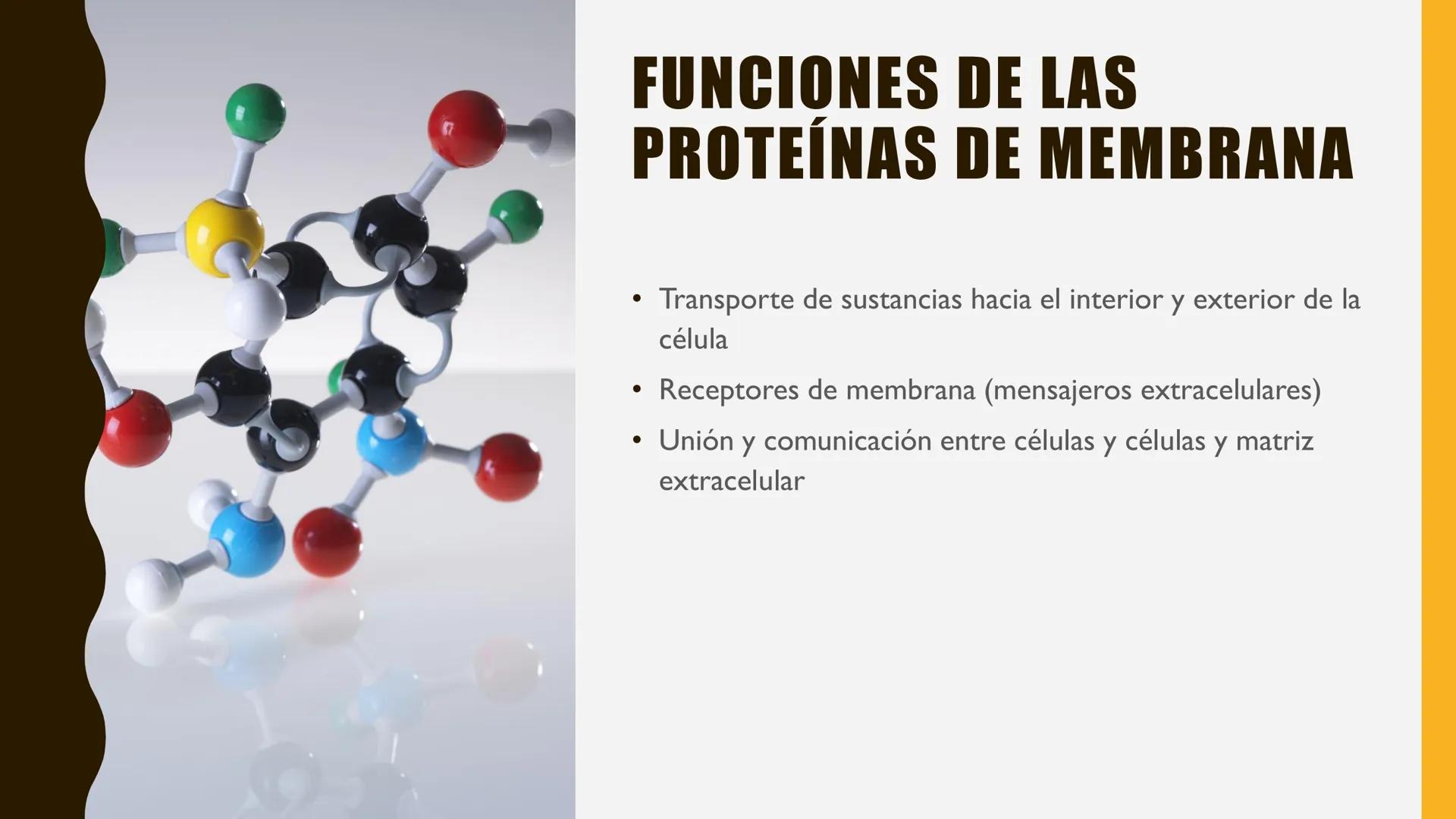 # MEMBRANA
# PLASMÁTICA Y
# TRANSPORTE
ETMP 060
BIOLOGÍA
CELULAR "ESTA PRESENTACIÓN CONSTITUYE UN PRODUCTO
ACADÉMICO EXCLUSIVO PARA LA ASIG