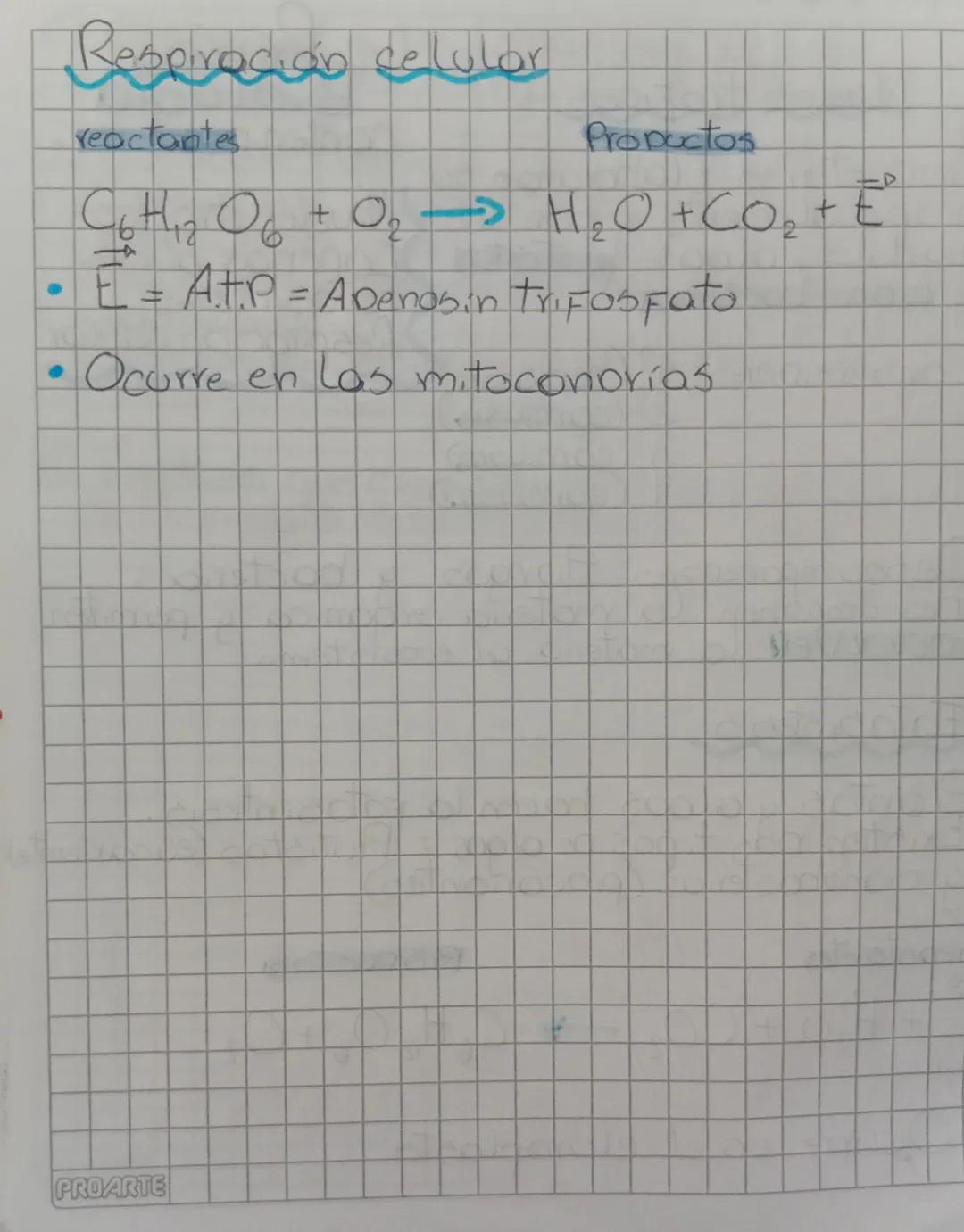 # Prueba
# Biología
contenidos
# Niveles tróficos
Productores: Elaboraron su propio alimento y son los vegetales, algas, protistas y ciano