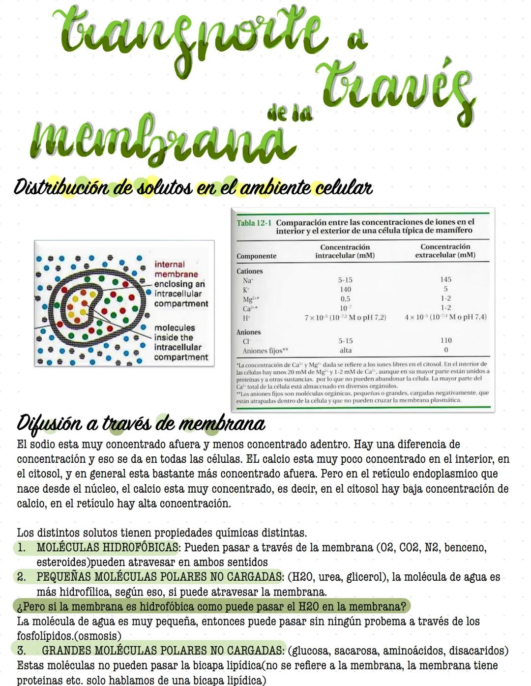 # ORGANIZACIÓN
DE LA
# CELULAR MEMBRANA
Todas las células de la tierra contienen una membrana que separa y protege sus componentes
químicos