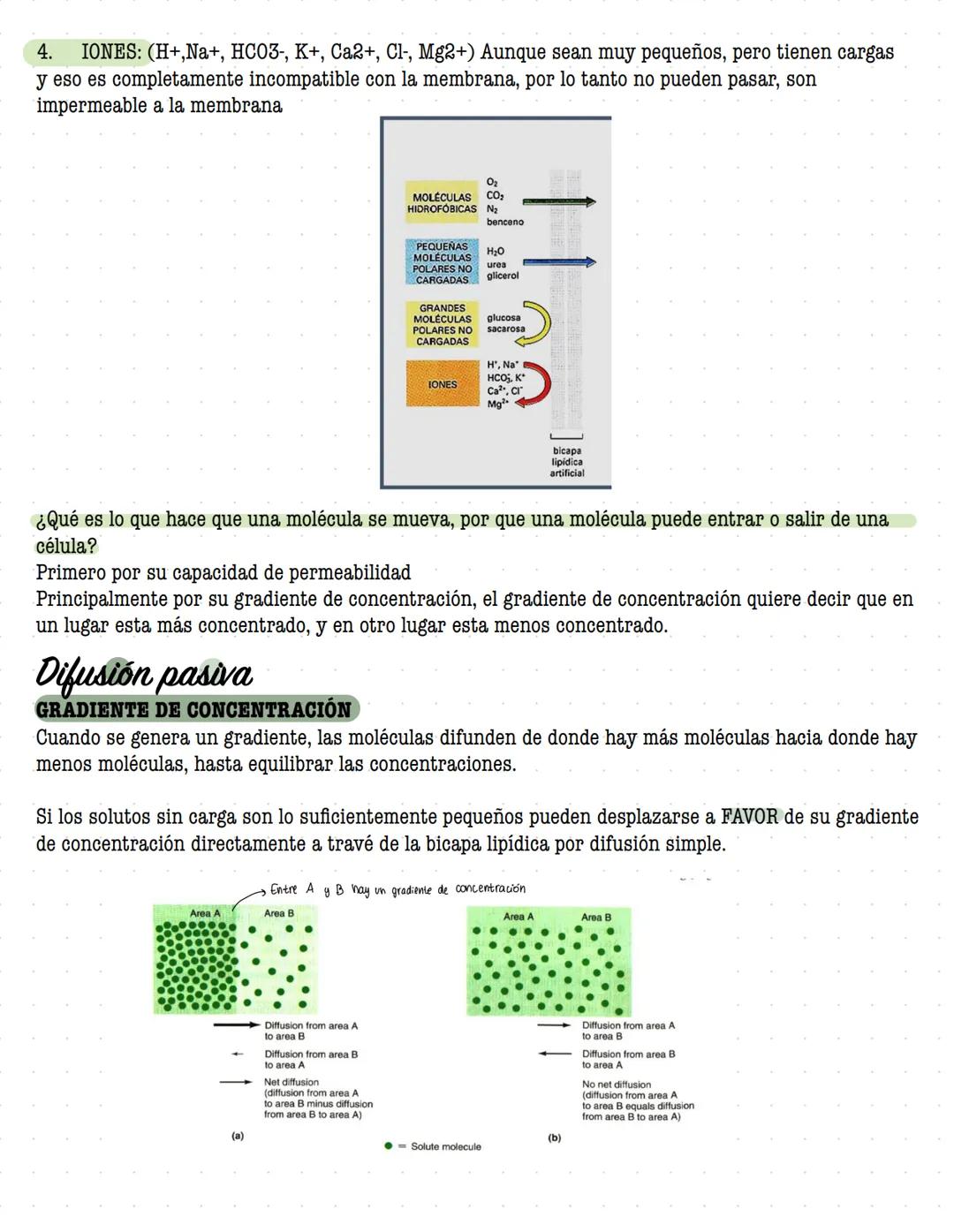 # ORGANIZACIÓN
DE LA
# CELULAR MEMBRANA
Todas las células de la tierra contienen una membrana que separa y protege sus componentes
químicos