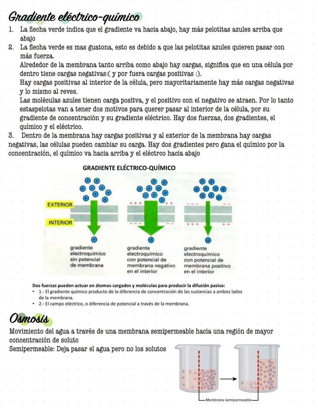 # ORGANIZACIÓN
DE LA
# CELULAR MEMBRANA
Todas las células de la tierra contienen una membrana que separa y protege sus componentes
químicos