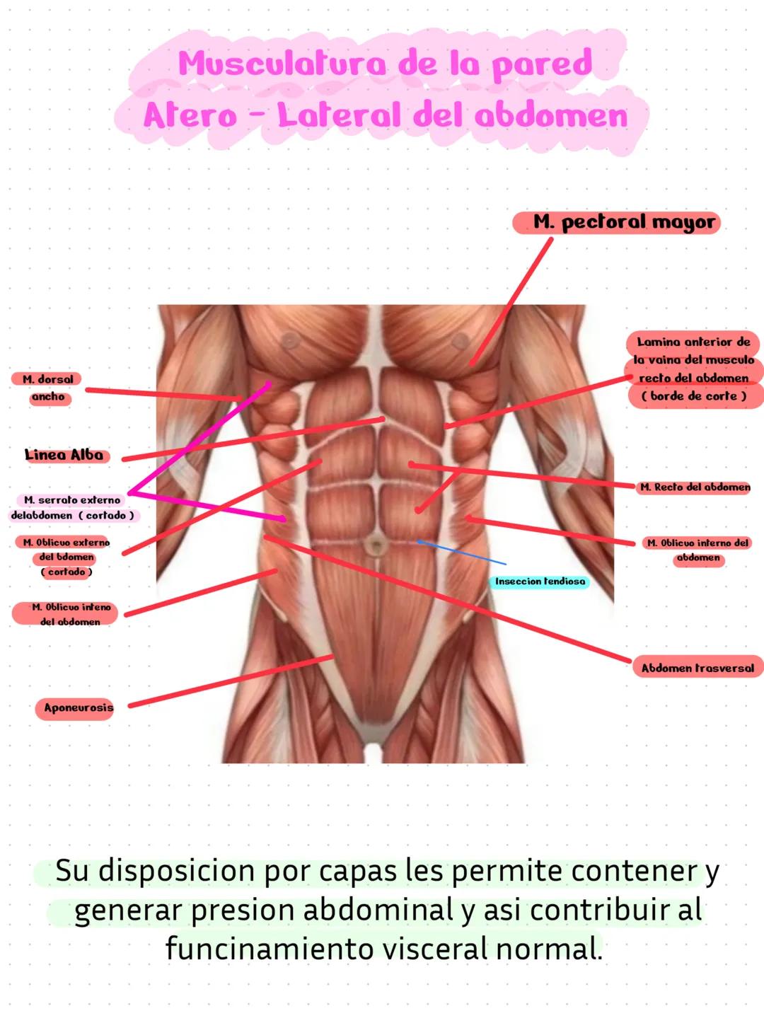 L'avance qui gaidait
réussit au
qui guidai
ayaa tue dence,
parti sé rendre v
palarité
tuer, e est
Pro
une
Caton et Quant
ndre Bi
ambition
ie