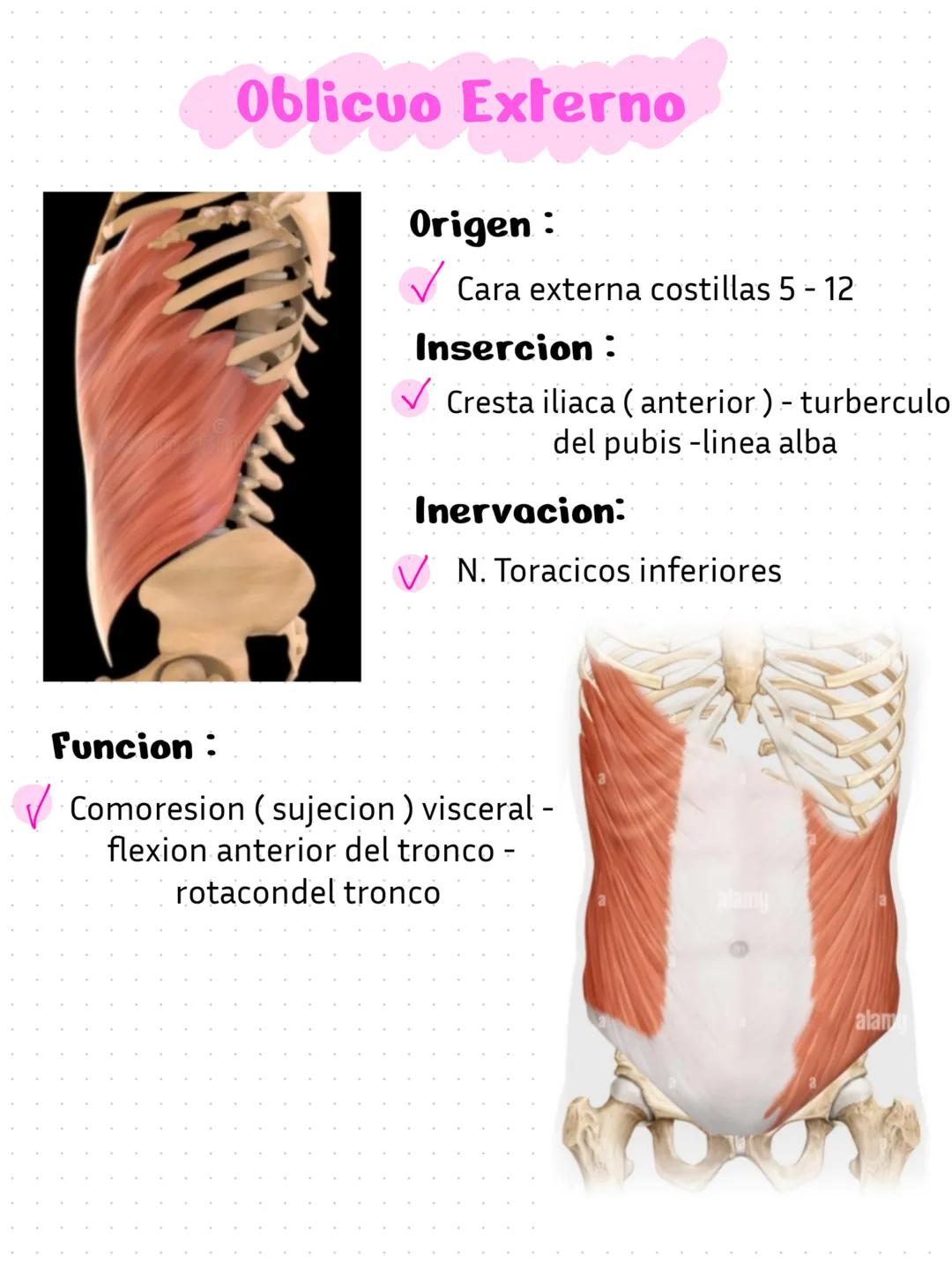 L'avance qui gaidait
réussit au
qui guidai
ayaa tue dence,
parti sé rendre v
palarité
tuer, e est
Pro
une
Caton et Quant
ndre Bi
ambition
ie
