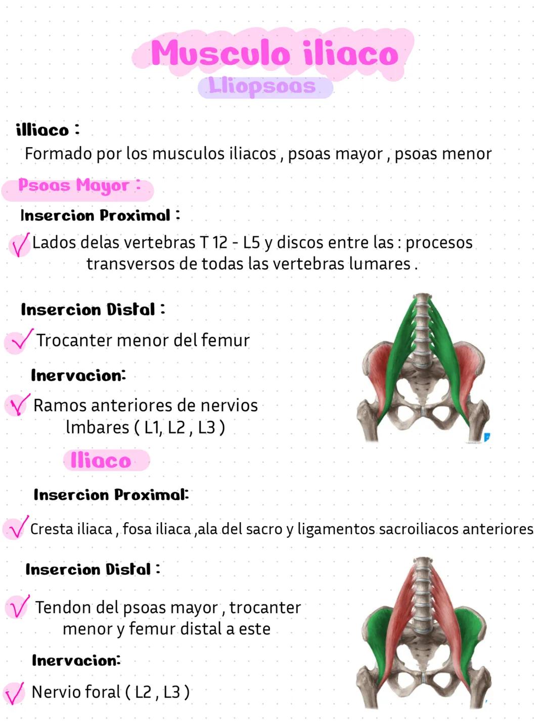 L'avance qui gaidait
réussit au
qui guidai
ayaa tue dence,
parti sé rendre v
palarité
tuer, e est
Pro
une
Caton et Quant
ndre Bi
ambition
ie