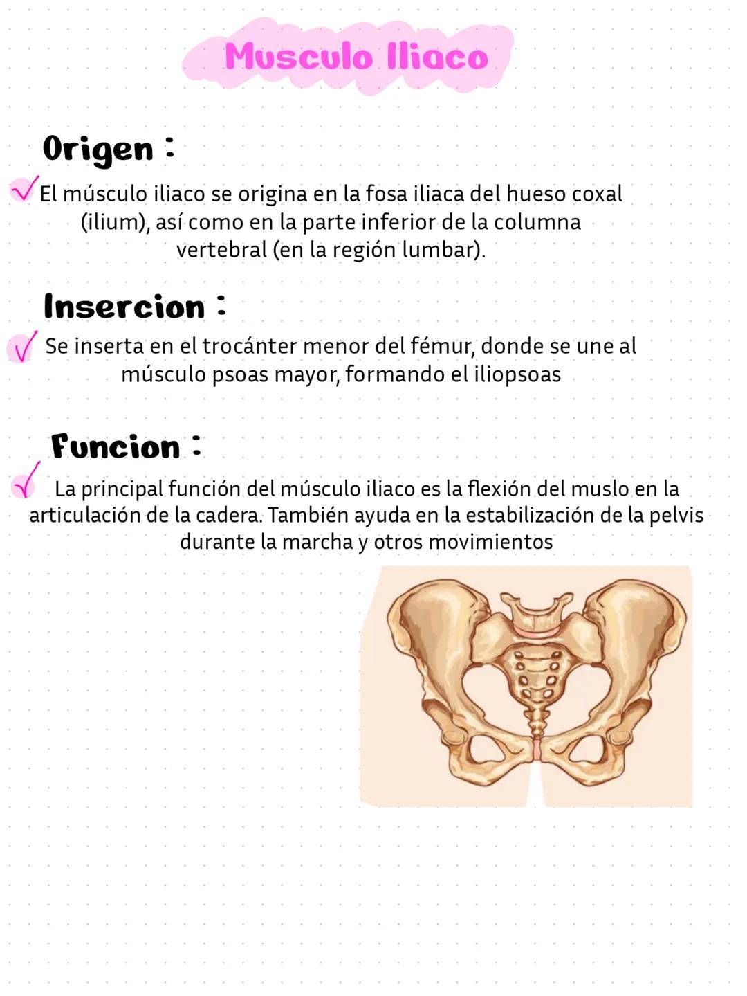 L'avance qui gaidait
réussit au
qui guidai
ayaa tue dence,
parti sé rendre v
palarité
tuer, e est
Pro
une
Caton et Quant
ndre Bi
ambition
ie
