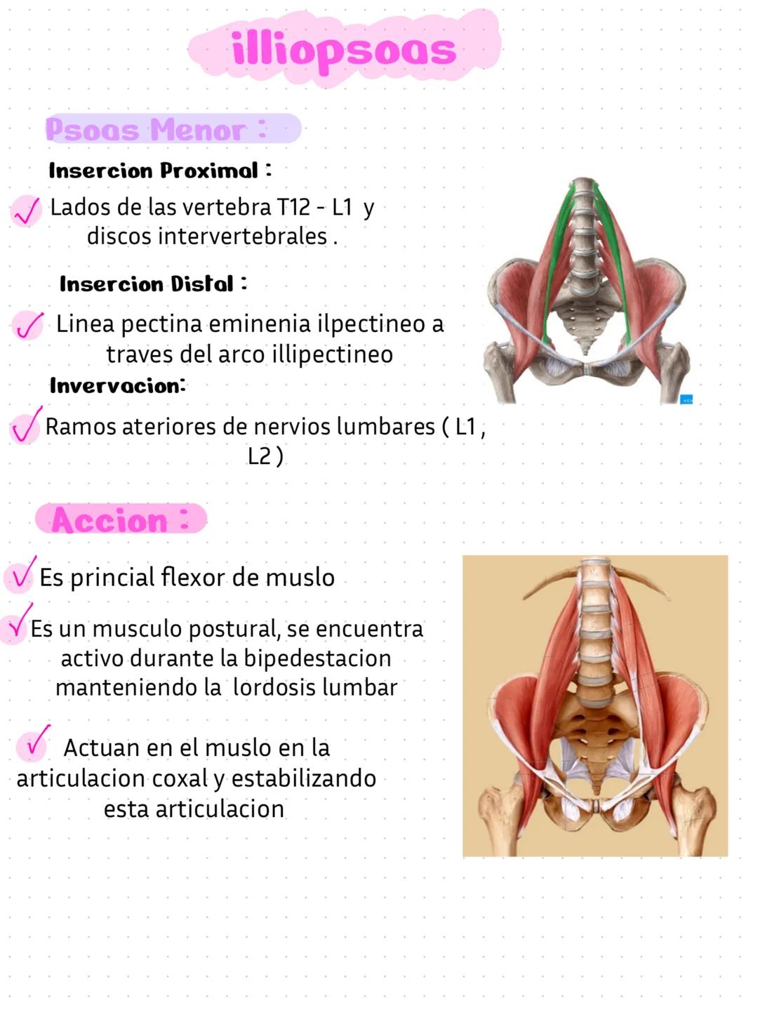 L'avance qui gaidait
réussit au
qui guidai
ayaa tue dence,
parti sé rendre v
palarité
tuer, e est
Pro
une
Caton et Quant
ndre Bi
ambition
ie
