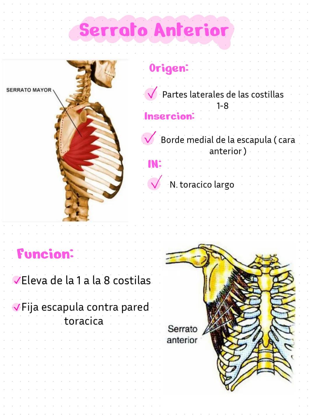 L'avance qui gaidait
réussit au
qui guidai
ayaa tue dence,
parti sé rendre v
palarité
tuer, e est
Pro
une
Caton et Quant
ndre Bi
ambition
ie