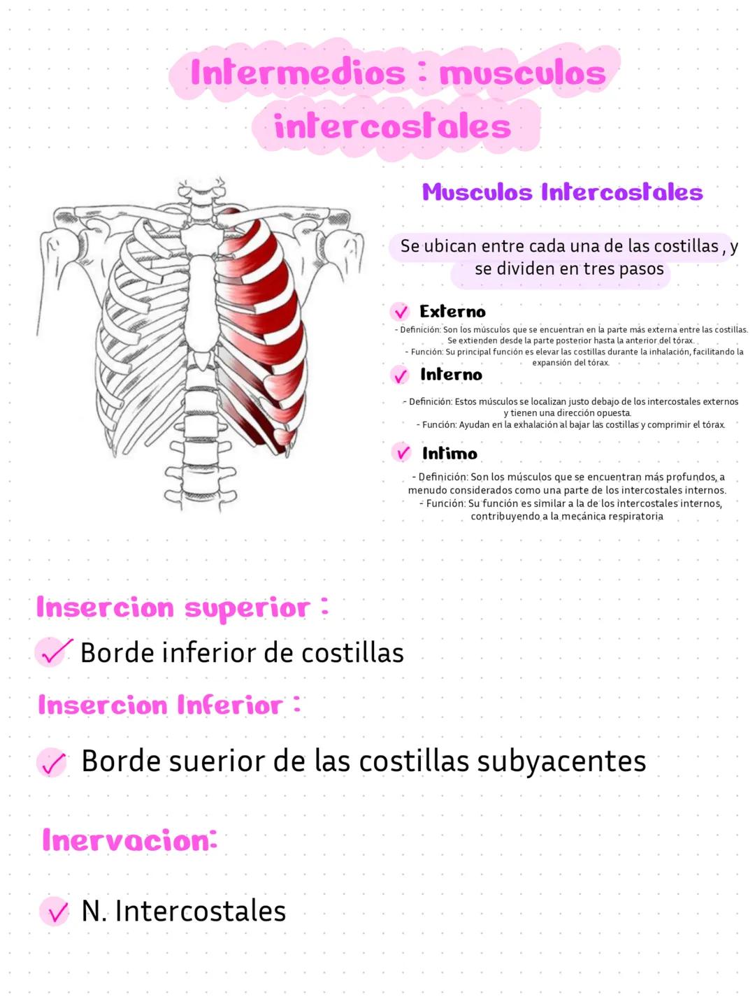 L'avance qui gaidait
réussit au
qui guidai
ayaa tue dence,
parti sé rendre v
palarité
tuer, e est
Pro
une
Caton et Quant
ndre Bi
ambition
ie