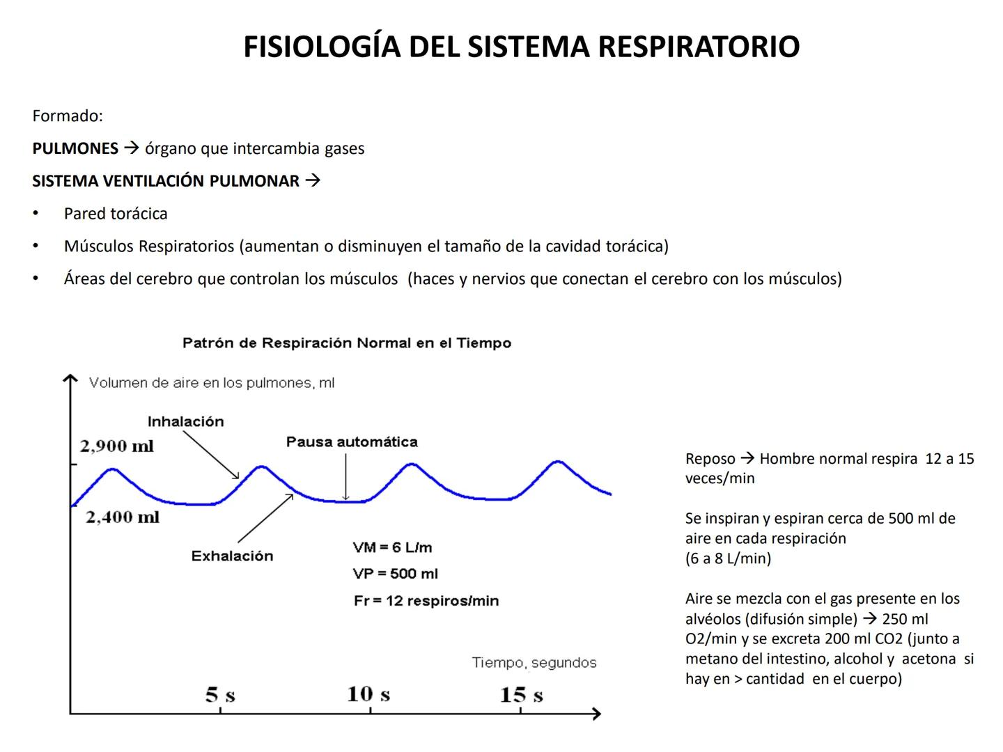 Universidad Austral de Chile
Escuela de Tecnología Médica
SISTEMA RESPIRATORIO I
Dra. Carolina Martin B. FISIOLOGÍA DEL SISTEMA RESPIRATORIO