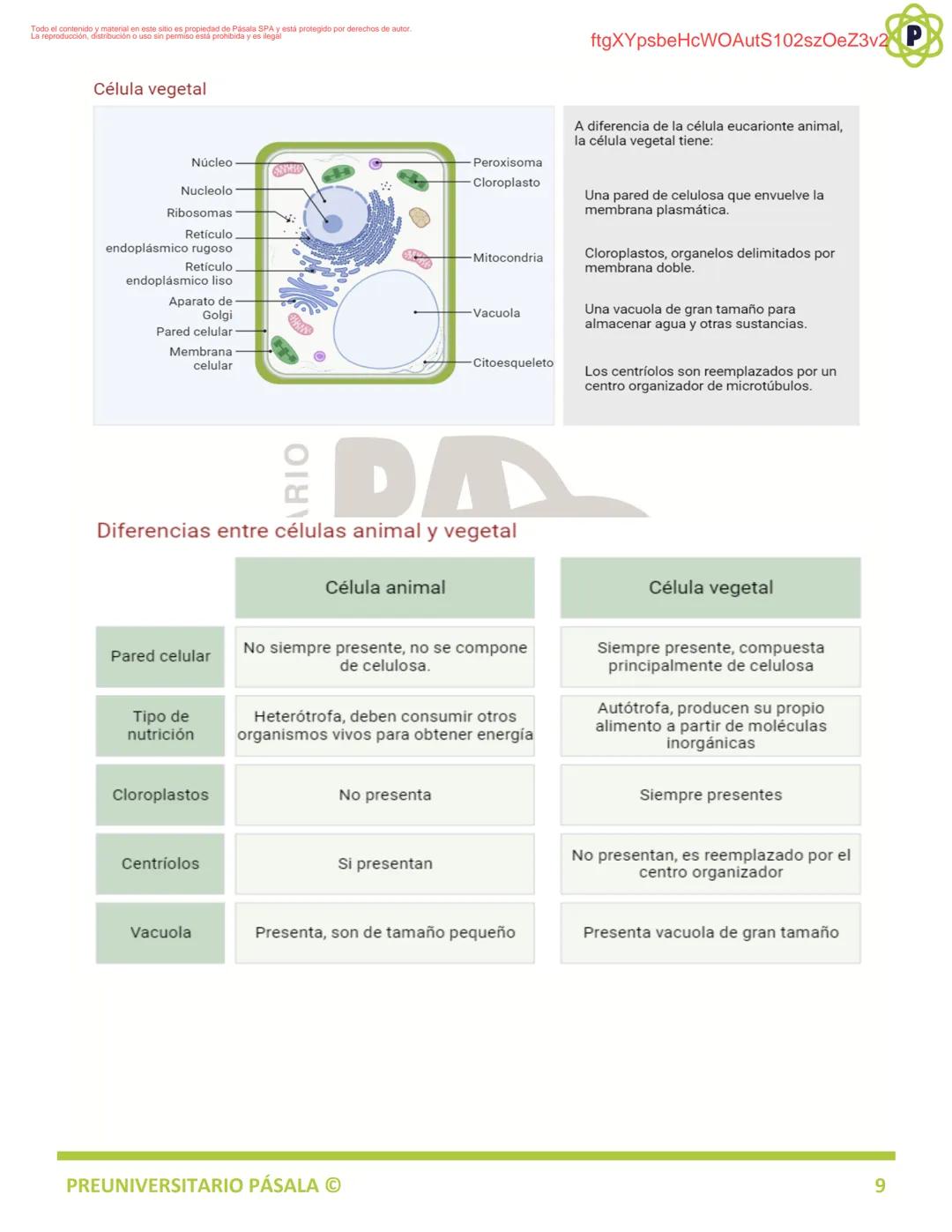 PREUNIVERSITARIO
TEORÍA
BIOLOGÍA
EJE: ORGANIZACIÓN, ESTRUCTURA Y ACTIVIDAD CELULAR
TEMA: BIOLOGÍA CELULAR
PA
LA
ftgXYpsbeHcWOAutS102szOeZ3v2