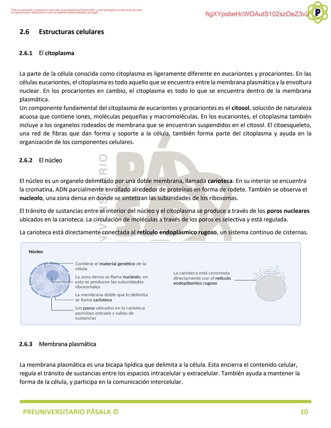 PREUNIVERSITARIO
TEORÍA
BIOLOGÍA
EJE: ORGANIZACIÓN, ESTRUCTURA Y ACTIVIDAD CELULAR
TEMA: BIOLOGÍA CELULAR
PA
LA
ftgXYpsbeHcWOAutS102szOeZ3v2