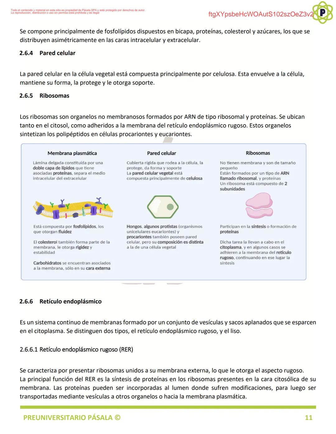 PREUNIVERSITARIO
TEORÍA
BIOLOGÍA
EJE: ORGANIZACIÓN, ESTRUCTURA Y ACTIVIDAD CELULAR
TEMA: BIOLOGÍA CELULAR
PA
LA
ftgXYpsbeHcWOAutS102szOeZ3v2