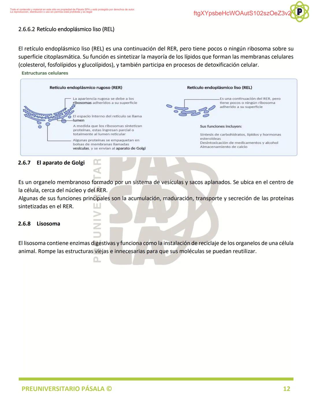 PREUNIVERSITARIO
TEORÍA
BIOLOGÍA
EJE: ORGANIZACIÓN, ESTRUCTURA Y ACTIVIDAD CELULAR
TEMA: BIOLOGÍA CELULAR
PA
LA
ftgXYpsbeHcWOAutS102szOeZ3v2