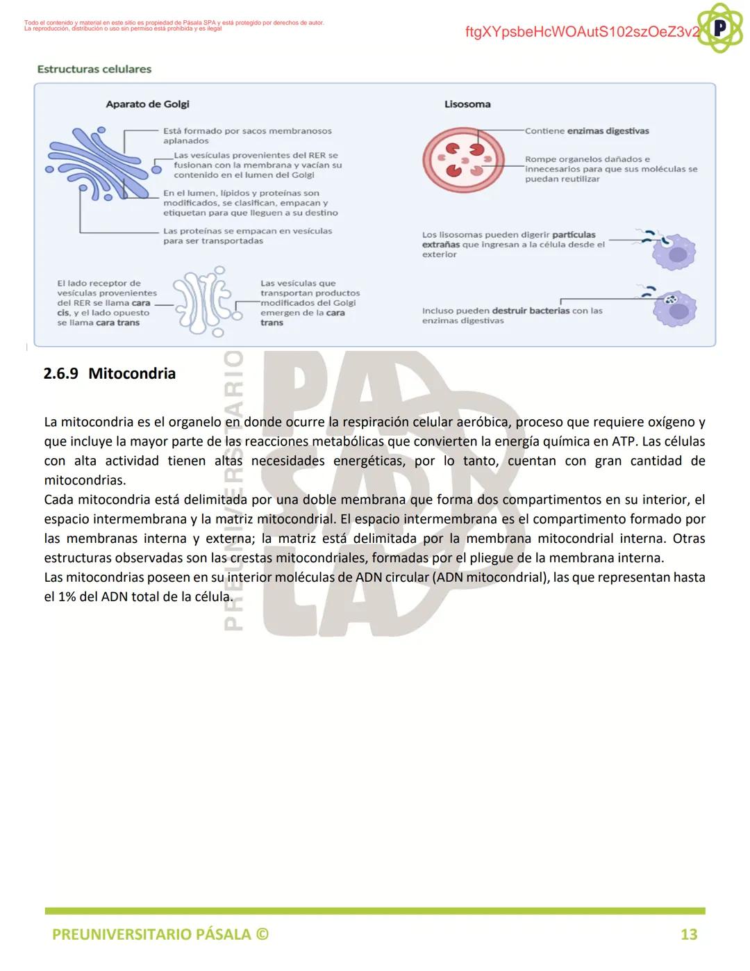 PREUNIVERSITARIO
TEORÍA
BIOLOGÍA
EJE: ORGANIZACIÓN, ESTRUCTURA Y ACTIVIDAD CELULAR
TEMA: BIOLOGÍA CELULAR
PA
LA
ftgXYpsbeHcWOAutS102szOeZ3v2