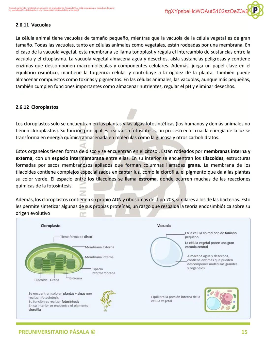 PREUNIVERSITARIO
TEORÍA
BIOLOGÍA
EJE: ORGANIZACIÓN, ESTRUCTURA Y ACTIVIDAD CELULAR
TEMA: BIOLOGÍA CELULAR
PA
LA
ftgXYpsbeHcWOAutS102szOeZ3v2