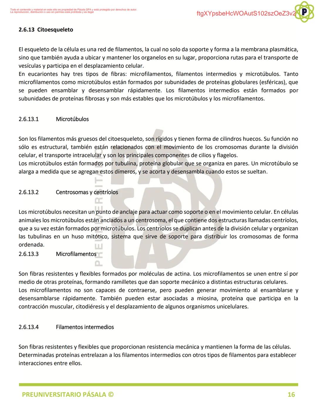 PREUNIVERSITARIO
TEORÍA
BIOLOGÍA
EJE: ORGANIZACIÓN, ESTRUCTURA Y ACTIVIDAD CELULAR
TEMA: BIOLOGÍA CELULAR
PA
LA
ftgXYpsbeHcWOAutS102szOeZ3v2