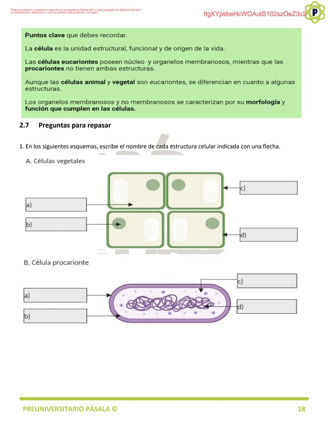 PREUNIVERSITARIO
TEORÍA
BIOLOGÍA
EJE: ORGANIZACIÓN, ESTRUCTURA Y ACTIVIDAD CELULAR
TEMA: BIOLOGÍA CELULAR
PA
LA
ftgXYpsbeHcWOAutS102szOeZ3v2