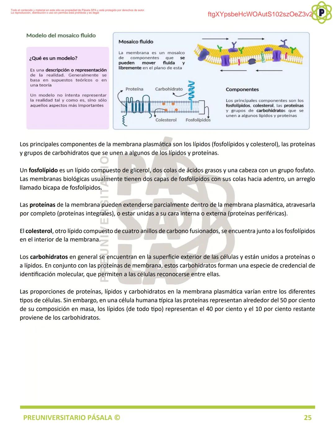 PREUNIVERSITARIO
TEORÍA
BIOLOGÍA
EJE: ORGANIZACIÓN, ESTRUCTURA Y ACTIVIDAD CELULAR
TEMA: BIOLOGÍA CELULAR
PA
LA
ftgXYpsbeHcWOAutS102szOeZ3v2