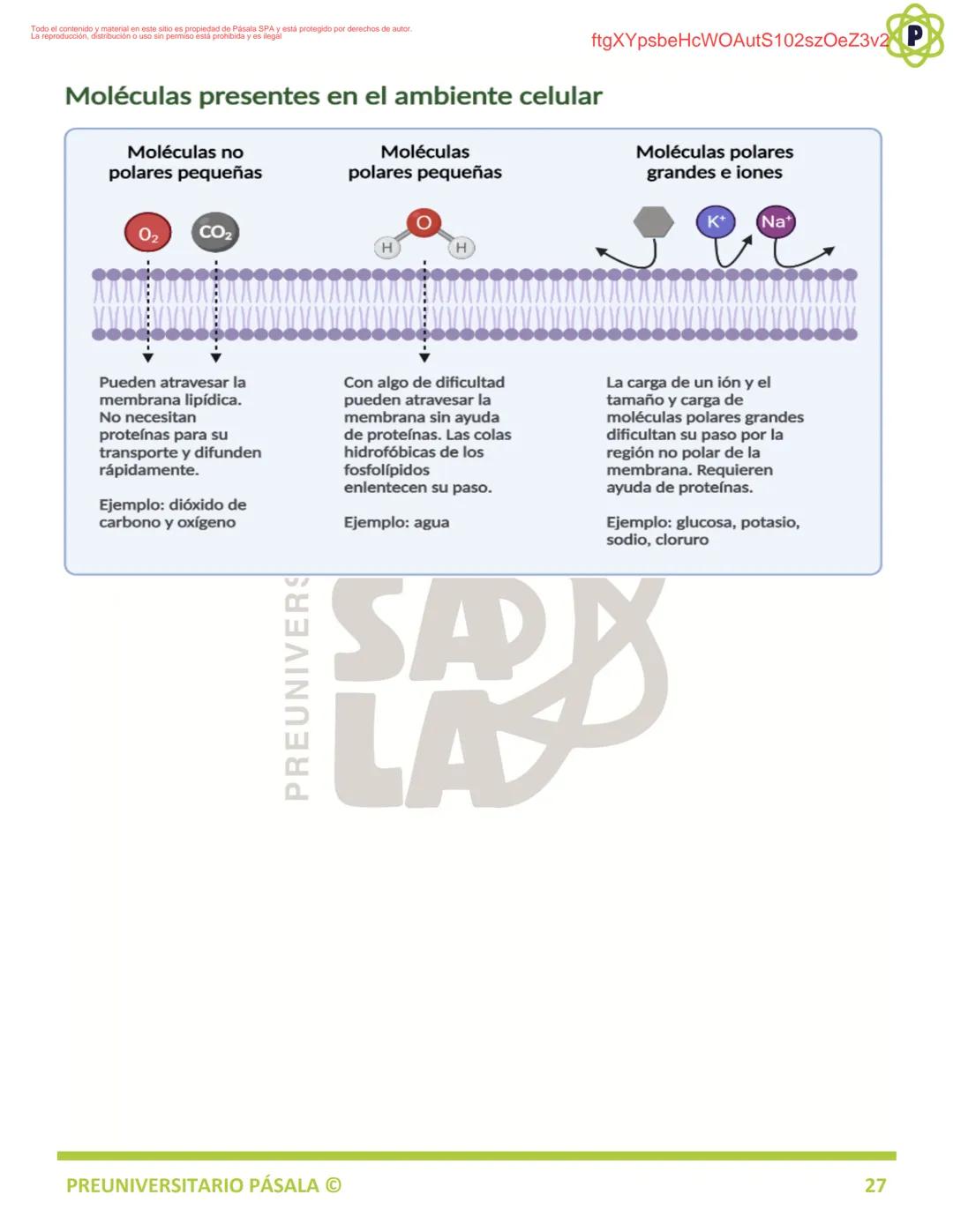 PREUNIVERSITARIO
TEORÍA
BIOLOGÍA
EJE: ORGANIZACIÓN, ESTRUCTURA Y ACTIVIDAD CELULAR
TEMA: BIOLOGÍA CELULAR
PA
LA
ftgXYpsbeHcWOAutS102szOeZ3v2