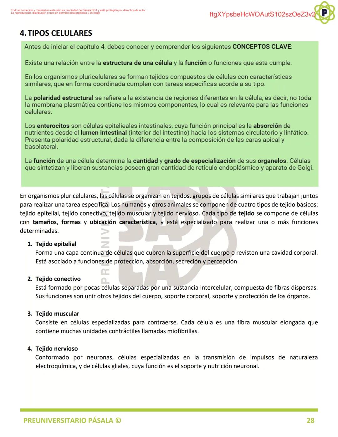 PREUNIVERSITARIO
TEORÍA
BIOLOGÍA
EJE: ORGANIZACIÓN, ESTRUCTURA Y ACTIVIDAD CELULAR
TEMA: BIOLOGÍA CELULAR
PA
LA
ftgXYpsbeHcWOAutS102szOeZ3v2