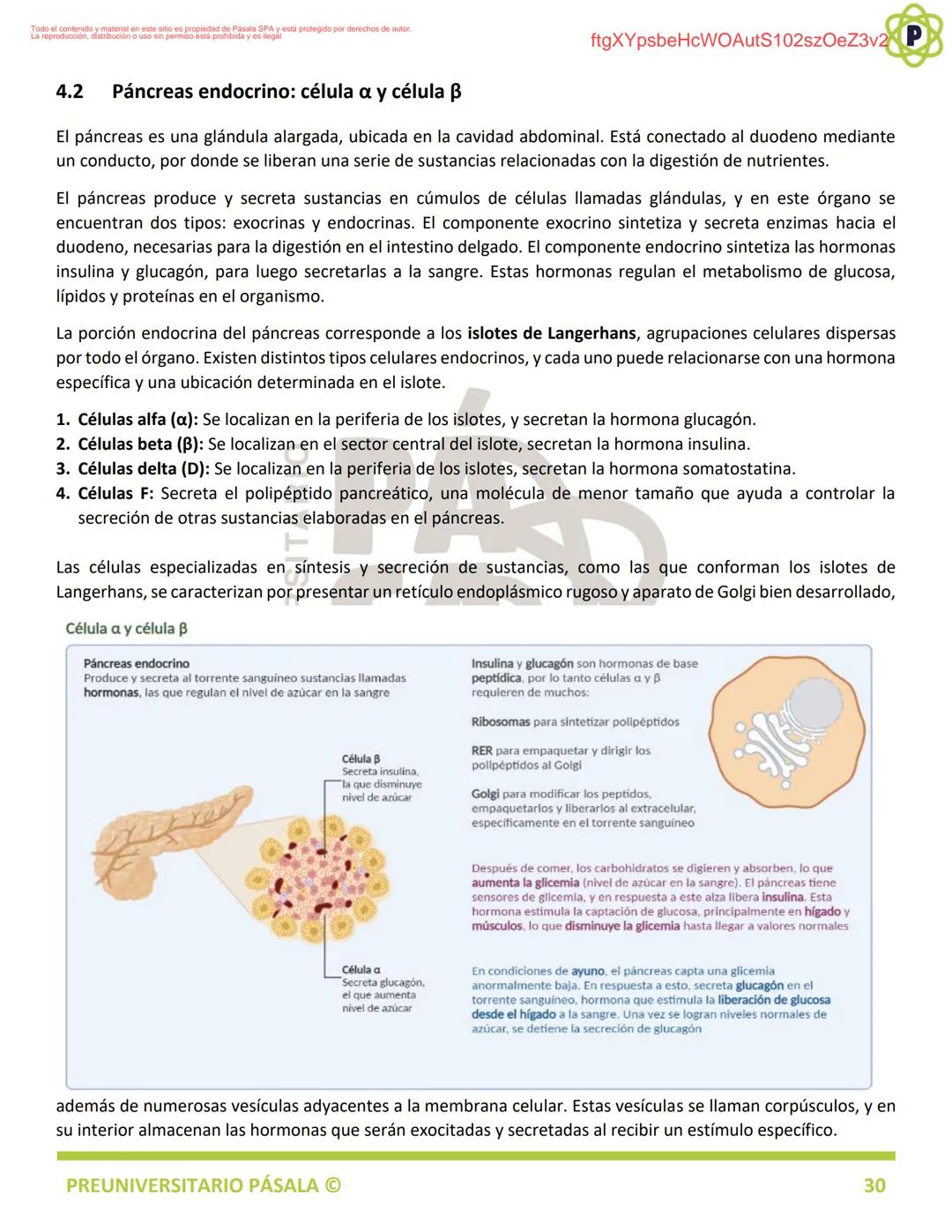 PREUNIVERSITARIO
TEORÍA
BIOLOGÍA
EJE: ORGANIZACIÓN, ESTRUCTURA Y ACTIVIDAD CELULAR
TEMA: BIOLOGÍA CELULAR
PA
LA
ftgXYpsbeHcWOAutS102szOeZ3v2