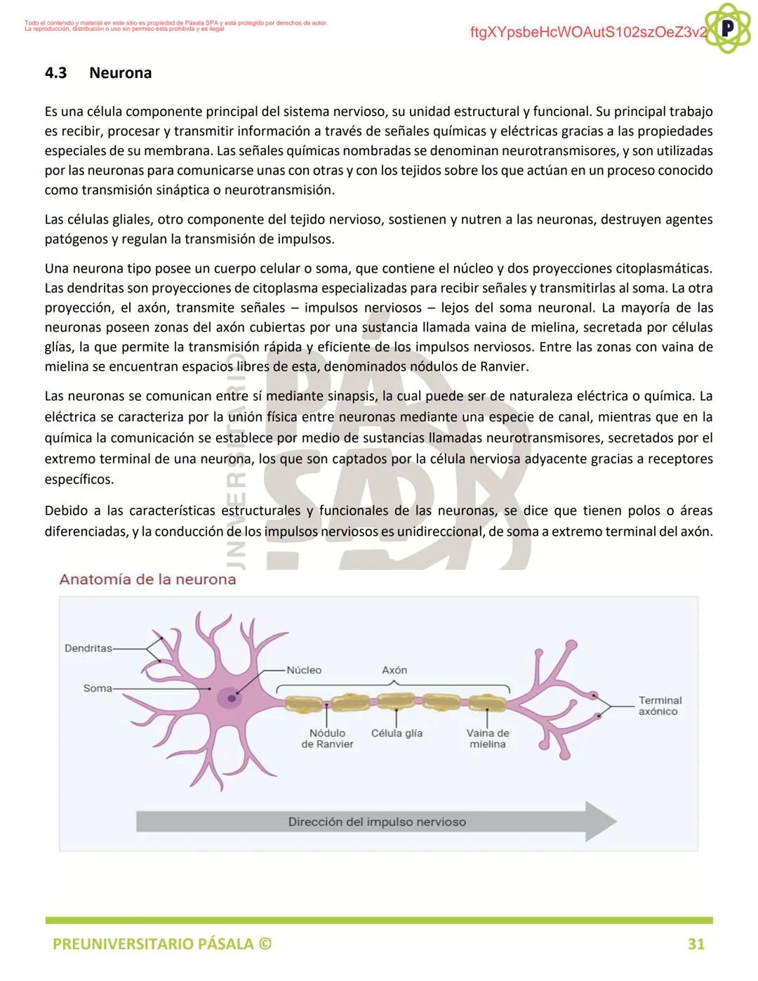 PREUNIVERSITARIO
TEORÍA
BIOLOGÍA
EJE: ORGANIZACIÓN, ESTRUCTURA Y ACTIVIDAD CELULAR
TEMA: BIOLOGÍA CELULAR
PA
LA
ftgXYpsbeHcWOAutS102szOeZ3v2
