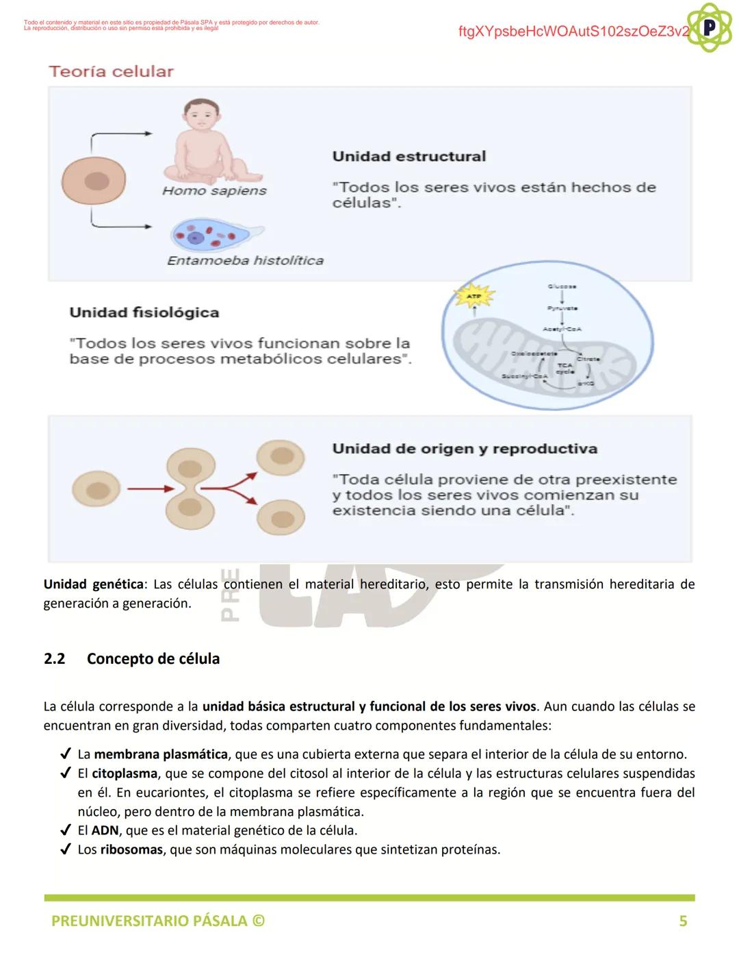 PREUNIVERSITARIO
TEORÍA
BIOLOGÍA
EJE: ORGANIZACIÓN, ESTRUCTURA Y ACTIVIDAD CELULAR
TEMA: BIOLOGÍA CELULAR
PA
LA
ftgXYpsbeHcWOAutS102szOeZ3v2