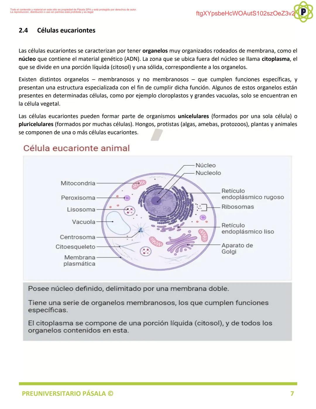 PREUNIVERSITARIO
TEORÍA
BIOLOGÍA
EJE: ORGANIZACIÓN, ESTRUCTURA Y ACTIVIDAD CELULAR
TEMA: BIOLOGÍA CELULAR
PA
LA
ftgXYpsbeHcWOAutS102szOeZ3v2