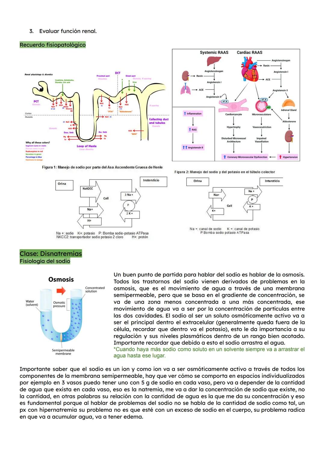 Clase: Calcio
Introducción
Es uno de los electrolitos más importantes del organismo. Literal la célula utiliza al calcio para toda
señal en