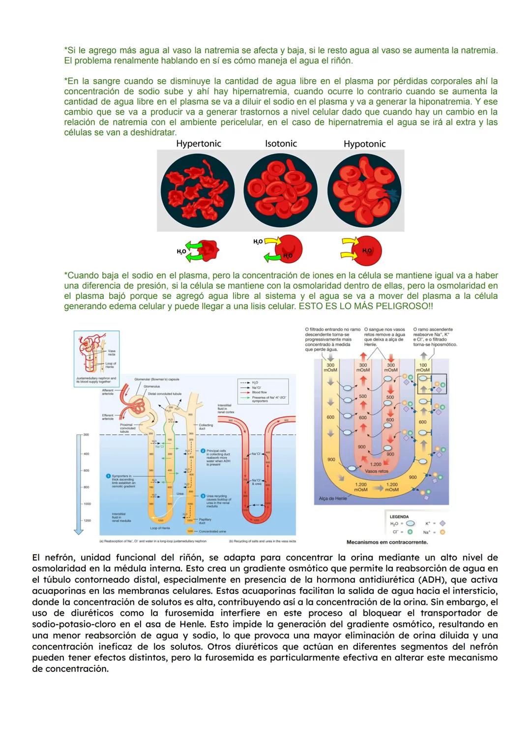 Clase: Calcio
Introducción
Es uno de los electrolitos más importantes del organismo. Literal la célula utiliza al calcio para toda
señal en