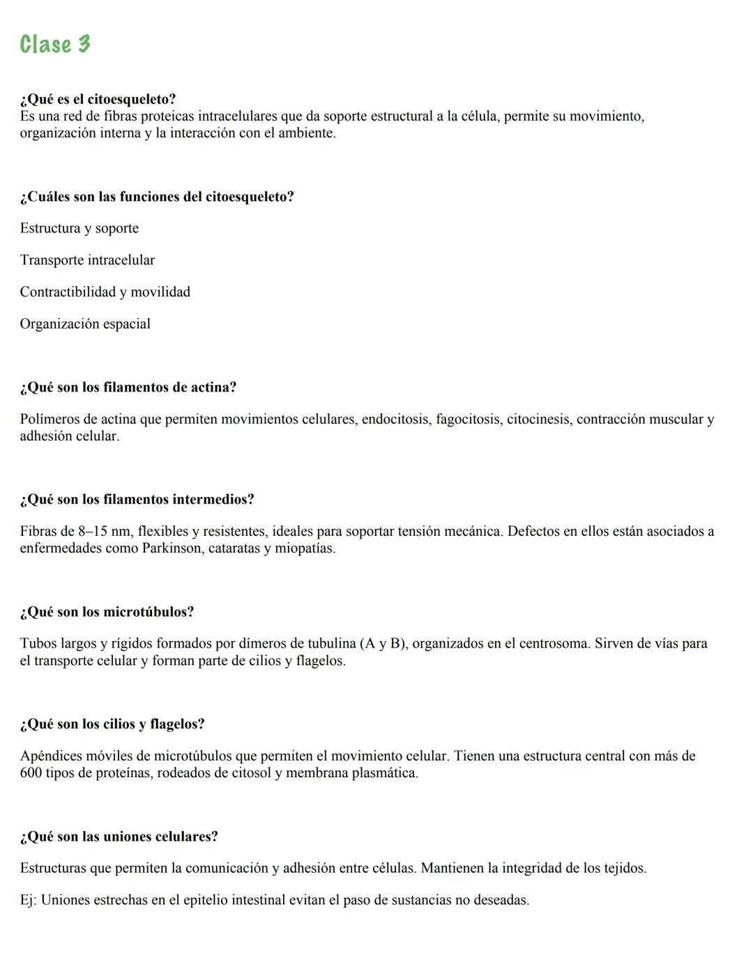 Clase 3
¿Qué es el citoesqueleto?
Es una red de fibras proteicas intracelulares que da soporte estructural a la célula, permite su movimi