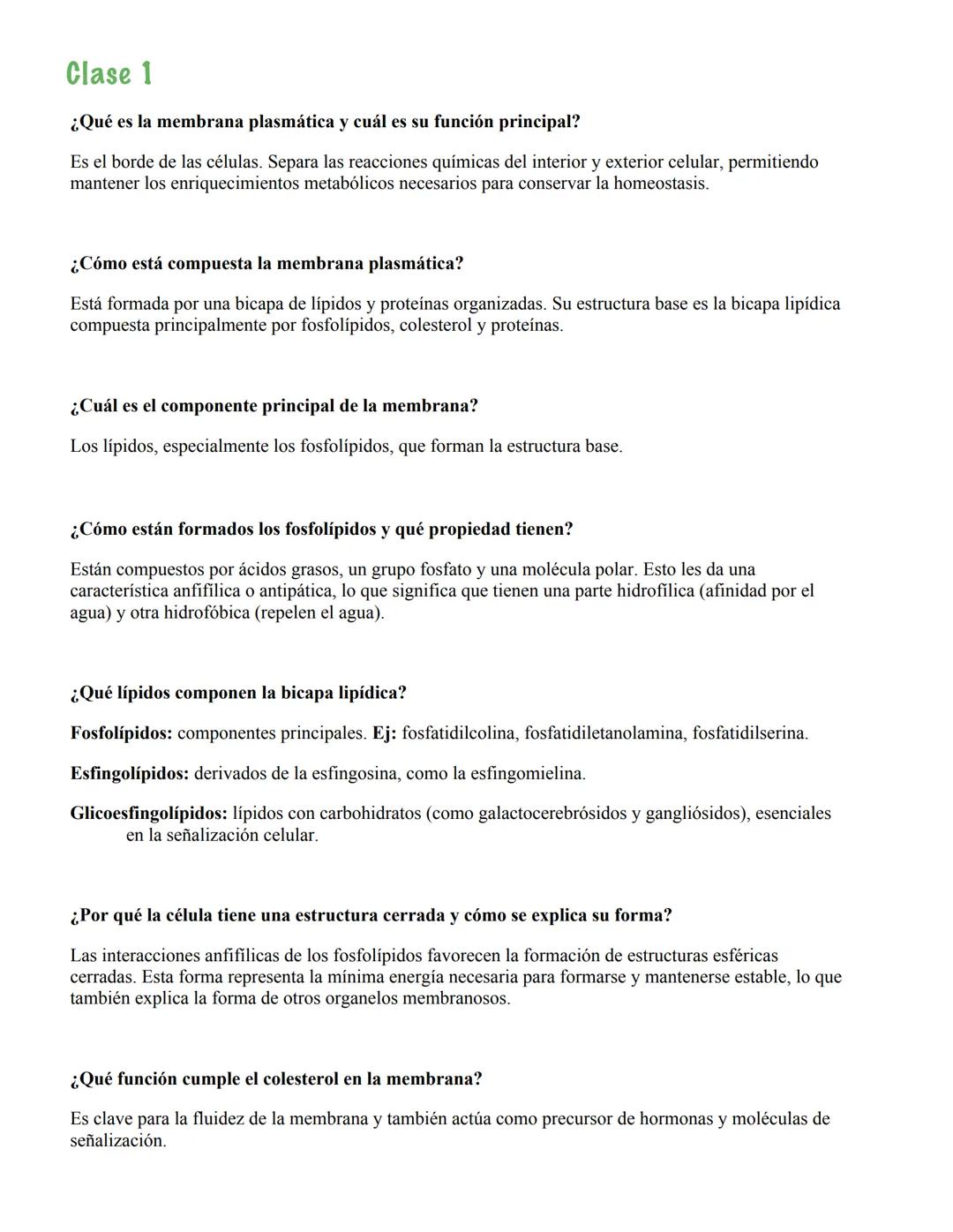 Clase 3
¿Qué es el citoesqueleto?
Es una red de fibras proteicas intracelulares que da soporte estructural a la célula, permite su movimi