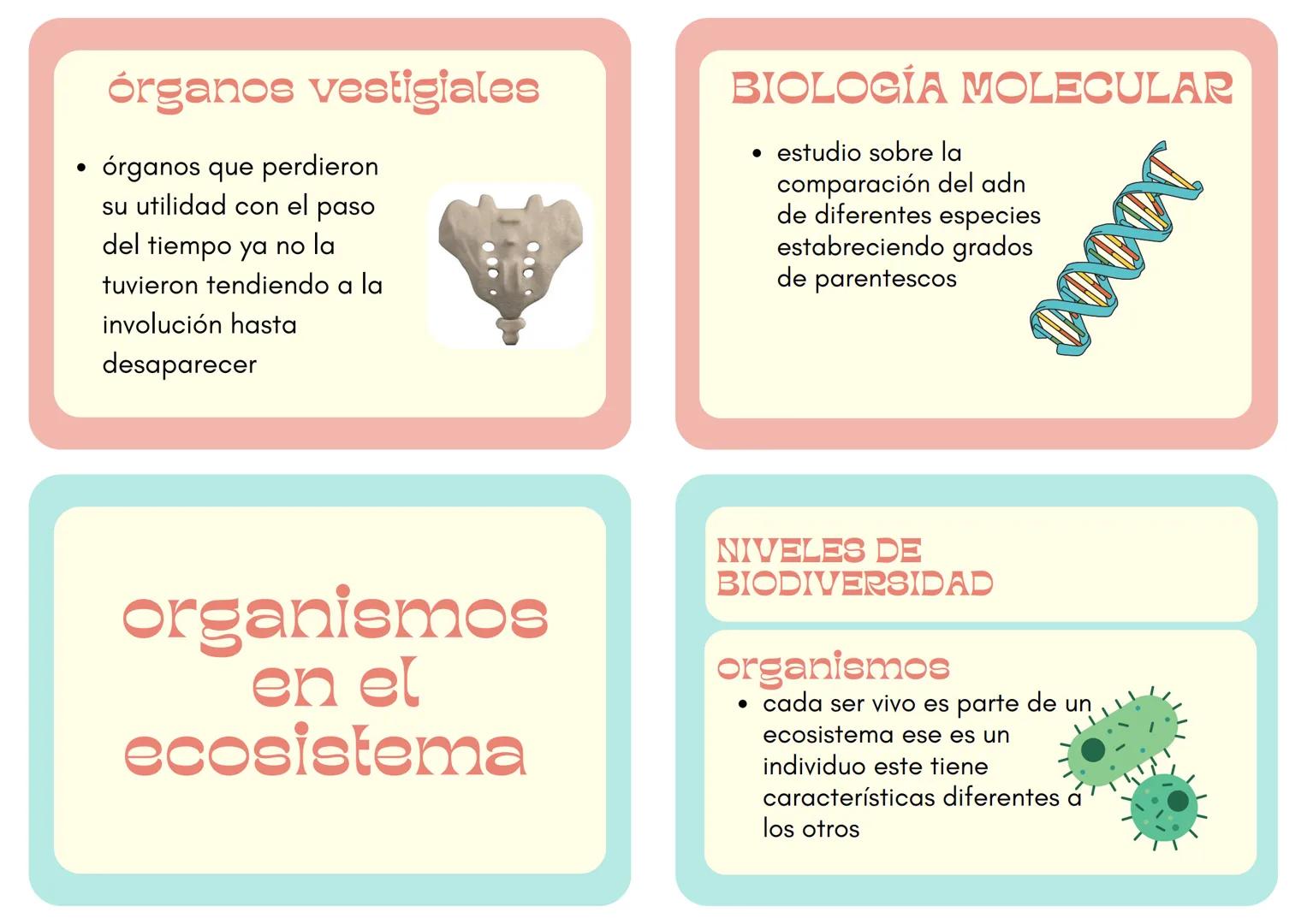 # Biología biodiversidad 1ºM
# BIOGEOGRAFÍA
* ciencia que estudia la distribución geográfica y la diversidad de especies
# EMBRIOLOGIA
* e