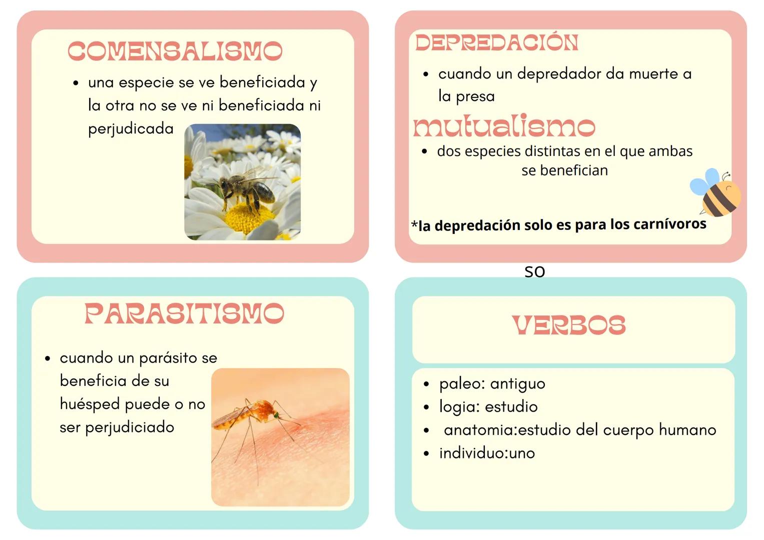 # Biología biodiversidad 1ºM
# BIOGEOGRAFÍA
* ciencia que estudia la distribución geográfica y la diversidad de especies
# EMBRIOLOGIA
* e