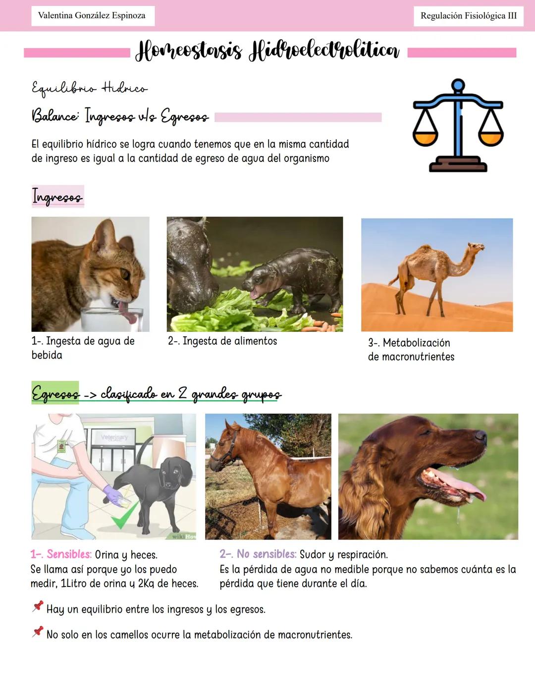 Homeostasis hidroelectrolítica