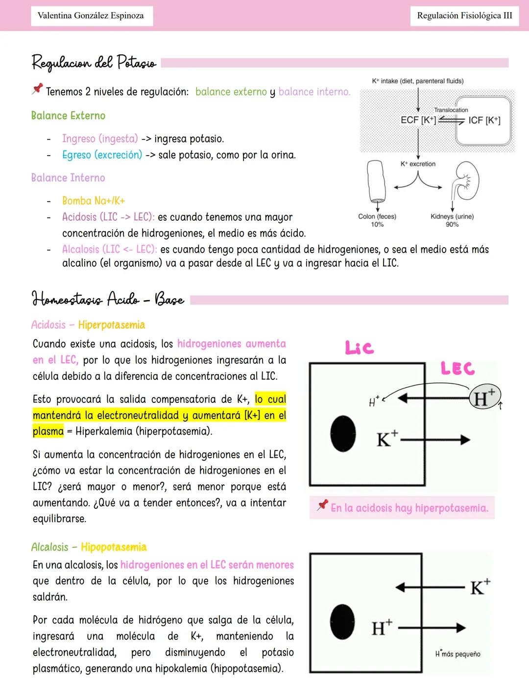 --- OCR Start ---
Valentina González Espinoza
Regulación Fisiológica III
Homeostasis Hidroelectroliticor
Equilibrio Hidrico
Balance: Ingreso