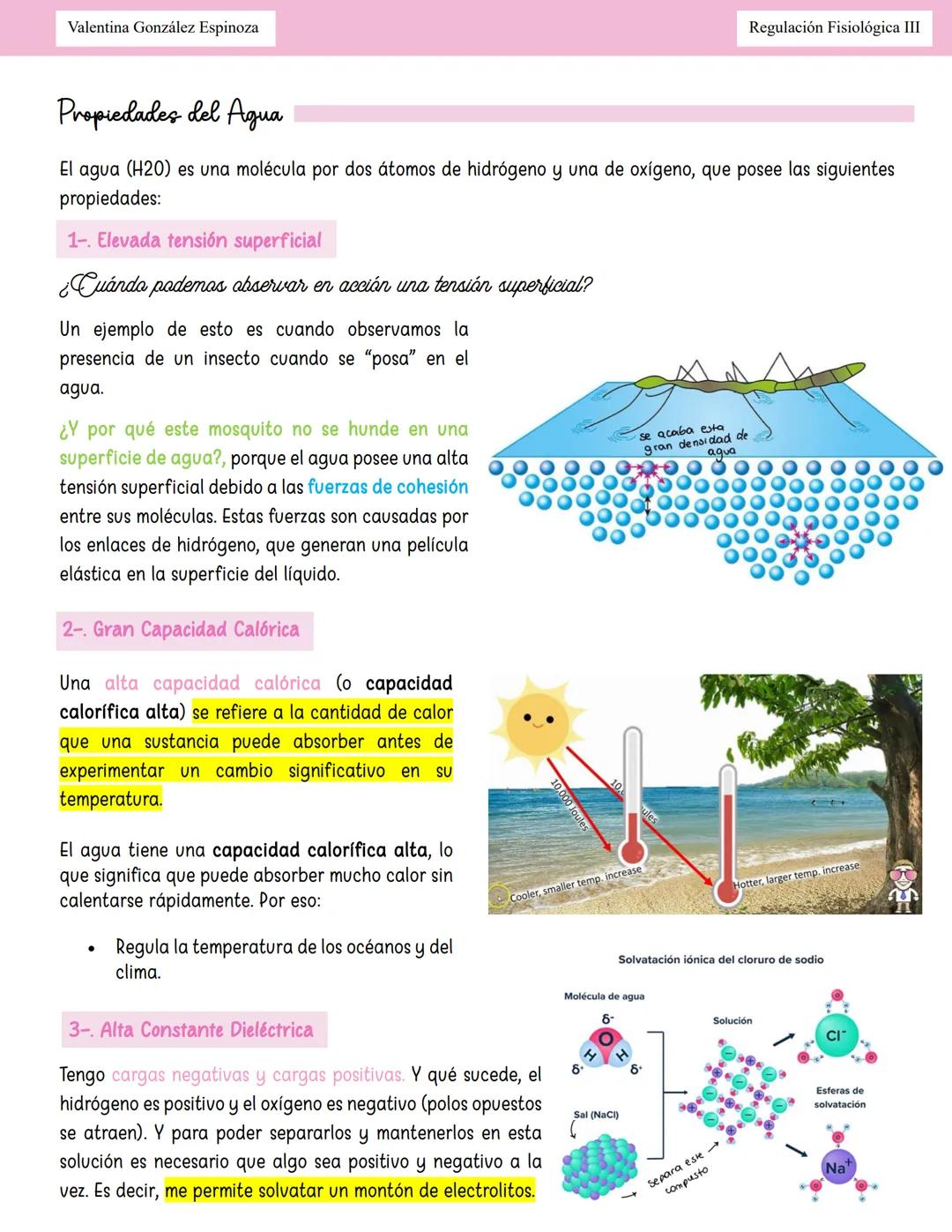 --- OCR Start ---
Valentina González Espinoza
Regulación Fisiológica III
Homeostasis Hidroelectroliticor
Equilibrio Hidrico
Balance: Ingreso