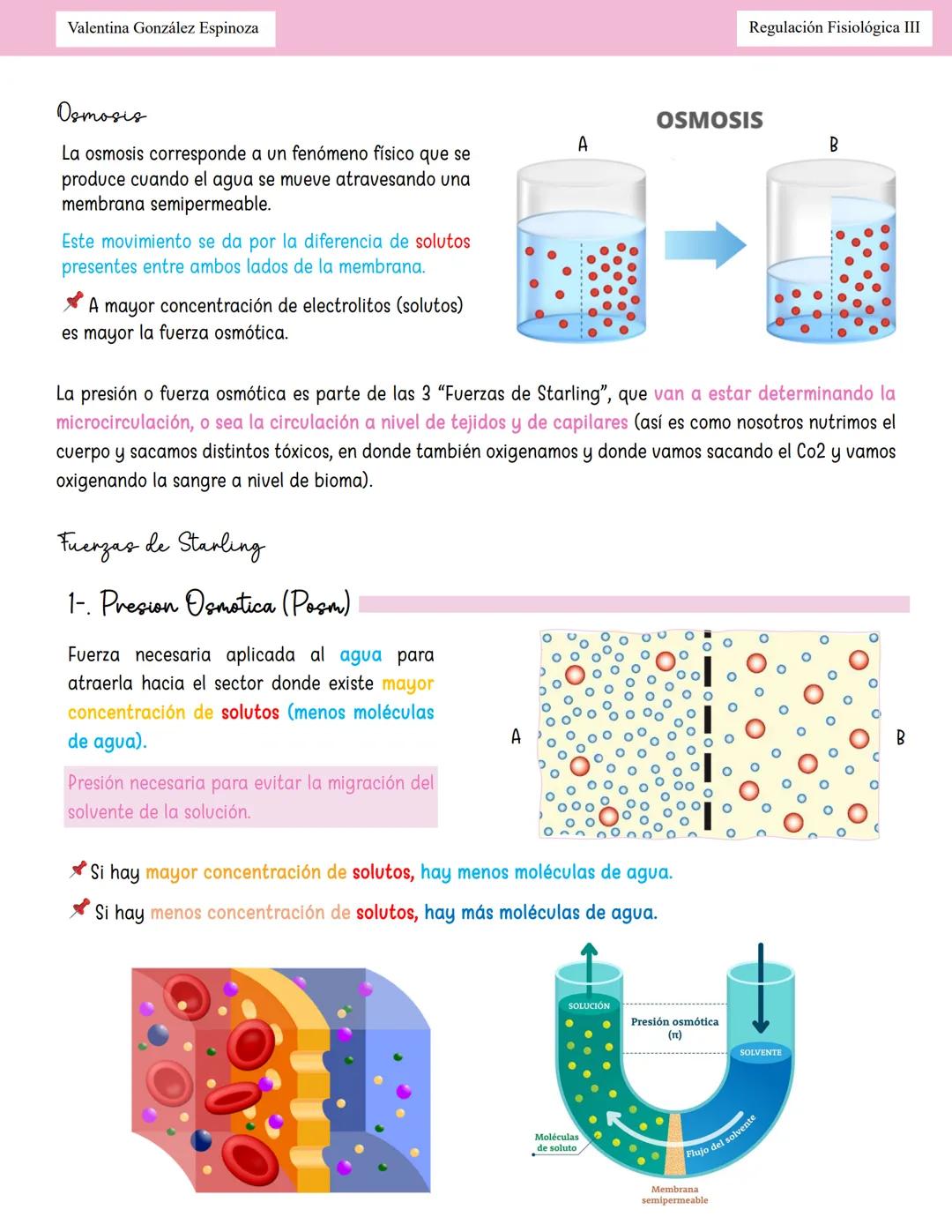 --- OCR Start ---
Valentina González Espinoza
Regulación Fisiológica III
Homeostasis Hidroelectroliticor
Equilibrio Hidrico
Balance: Ingreso