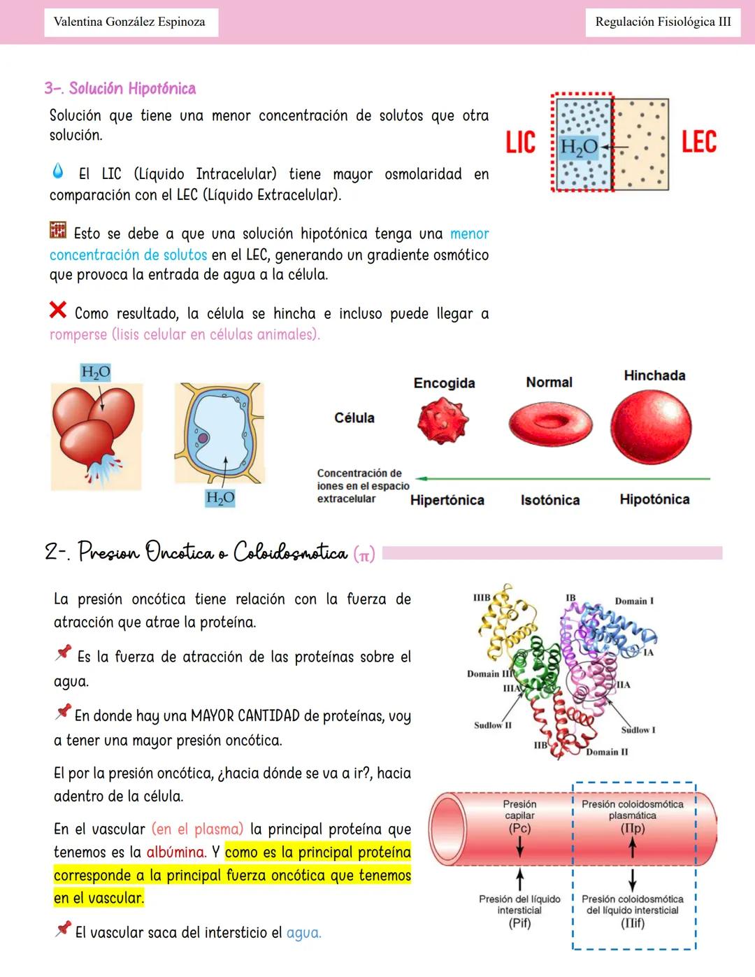 --- OCR Start ---
Valentina González Espinoza
Regulación Fisiológica III
Homeostasis Hidroelectroliticor
Equilibrio Hidrico
Balance: Ingreso