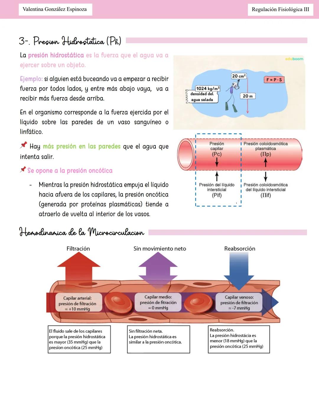 --- OCR Start ---
Valentina González Espinoza
Regulación Fisiológica III
Homeostasis Hidroelectroliticor
Equilibrio Hidrico
Balance: Ingreso